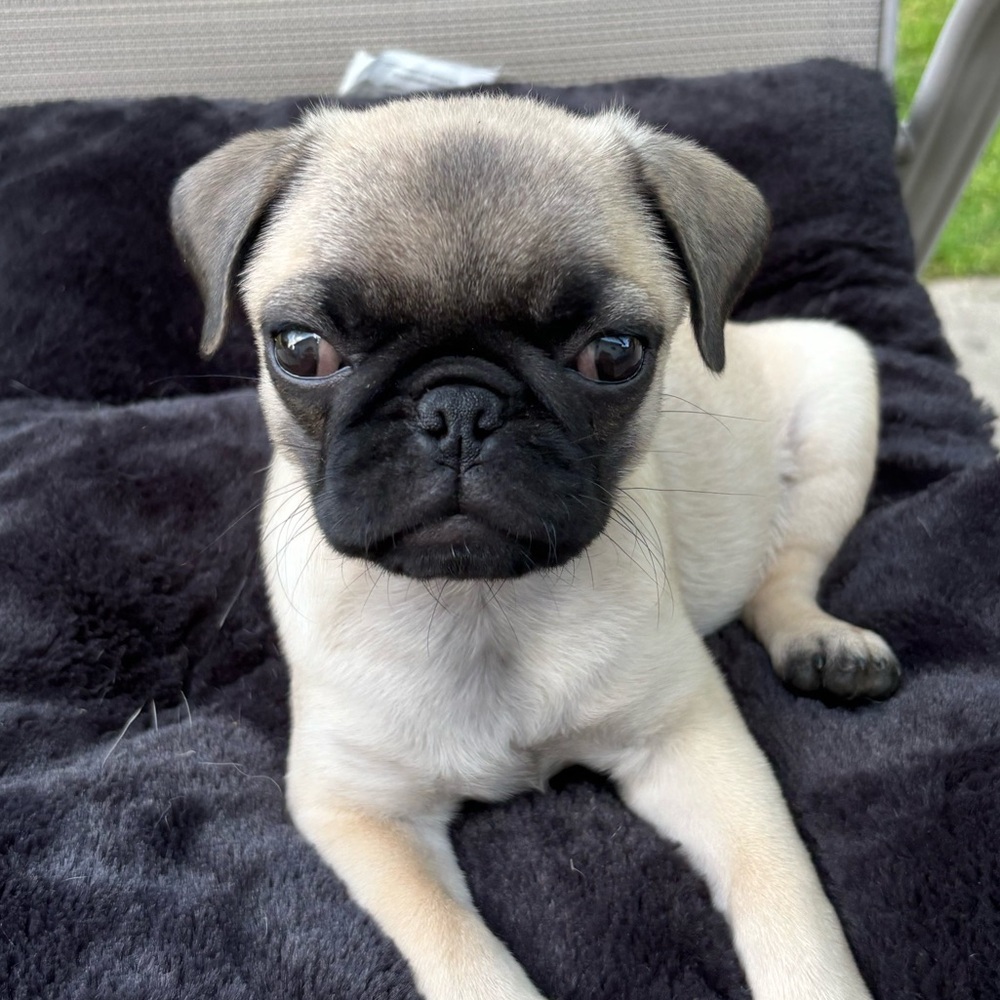 Meet your Posher, Marla